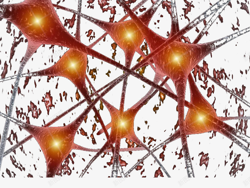 神经细胞png免抠素材_新图网 https://ixintu.com 医疗 生物 神经 科技 细胞 黄色