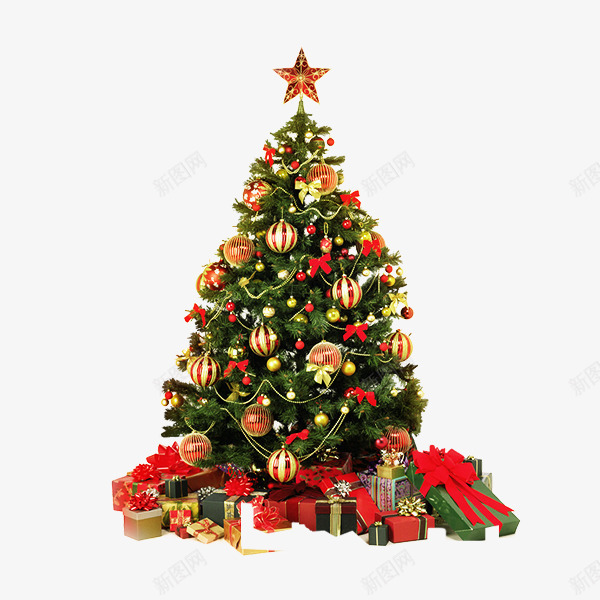 圣诞树实物psd免抠素材_新图网 https://ixintu.com 圣诞树 实物 素材 节日