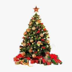 实物圣诞树圣诞树实物高清图片