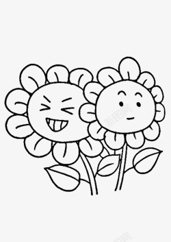 两株花朵素描太阳花高清图片