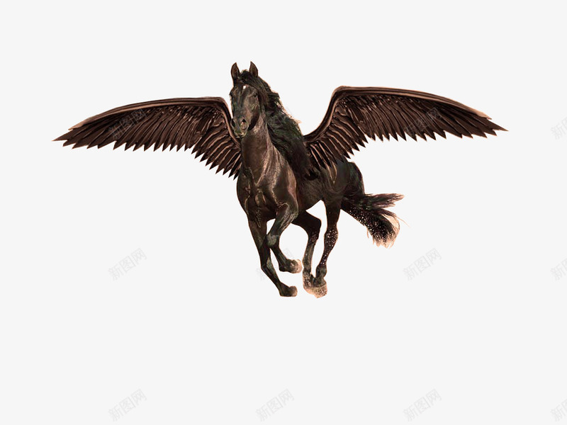 棕色的飞天马png免抠素材_新图网 https://ixintu.com 互联网教育 想象 棕色 飞翔 飞翔的马 飞马 马正面