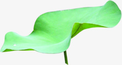中国风绿色荷叶装饰素材