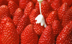 草莓奶油水果素材
