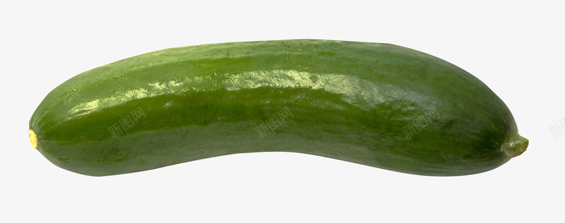 一根绿皮黄瓜png免抠素材_新图网 https://ixintu.com 一根 新鲜的 绿皮的 绿色 绿色的 绿色黄瓜 美味的 黄瓜