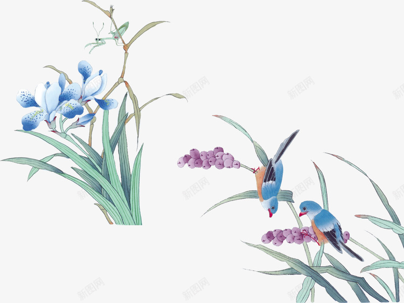中国风花鸟png免抠素材_新图网 https://ixintu.com 中国画花鸟 中国风 中国风花鸟素材 兰花 国画 花 花鸟 鸟