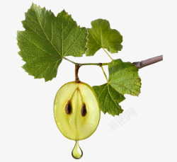 切开的葡萄绿色切开的葡萄高清图片