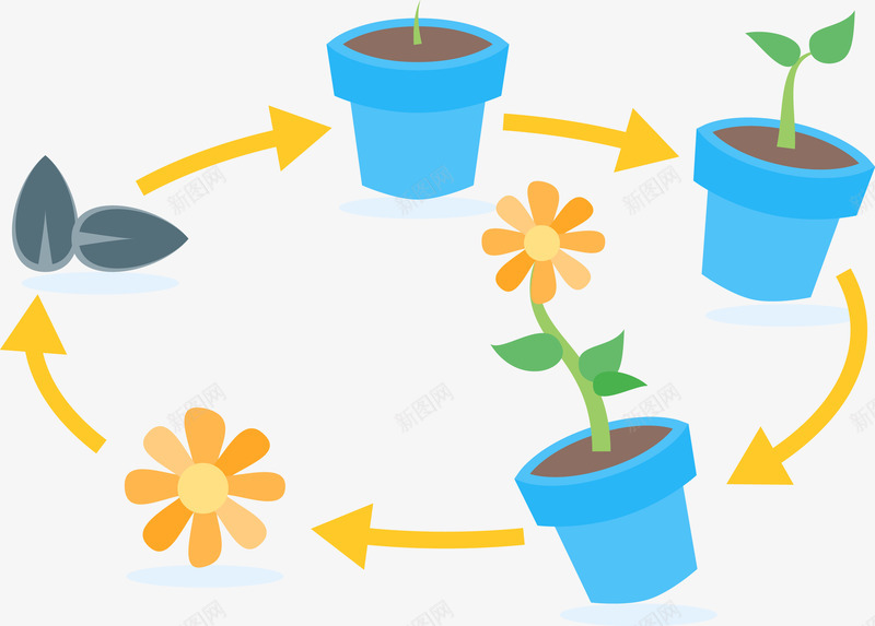 种植小花png免抠素材_新图网 https://ixintu.com 创意 树叶 环形 种子 绿色盆栽 花朵 花盆