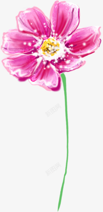 粉色花卉水印卡片png免抠素材_新图网 https://ixintu.com 卡片 水印 粉色 花卉