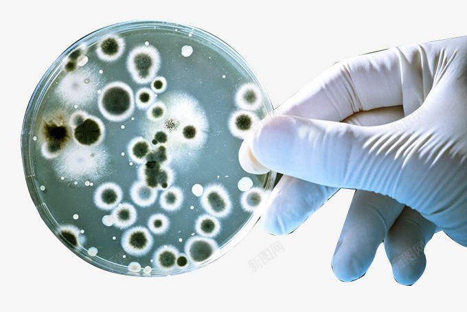 培养皿中的细菌png免抠素材_新图网 https://ixintu.com 发育 培养 培养皿 实验 斑点 显微镜 生物科研 科技 细胞培养皿 细菌