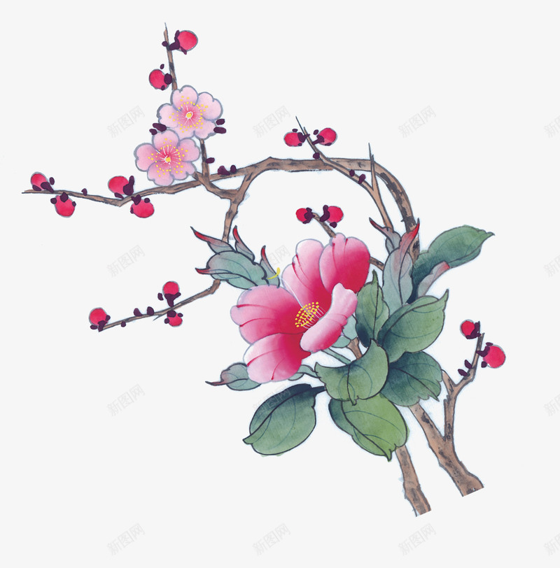 中国风花鸟png免抠素材_新图网 https://ixintu.com 中国画花鸟 中国风 中国风花素材 国画 花 花鸟