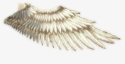 酷炫白色单翅膀透明背景素材
