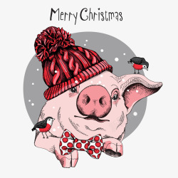灰红色戴帽子圣诞快乐卡通猪矢量图素材