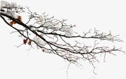摄影创意合成树木雪花素材
