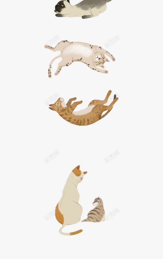 各种灰色系小猫png免抠素材_新图网 https://ixintu.com 小猫动作 小猫图案 小猫种类 小猫系列