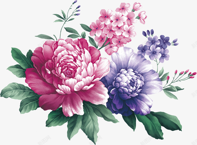 水彩画牡丹花png图片免费下载 素材7xzvgegkk 新图网 水彩画牡丹花png图片免费下载 素材7xzvgegkk 新图网
