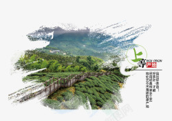 环保中国风茶叶产地高清图片
