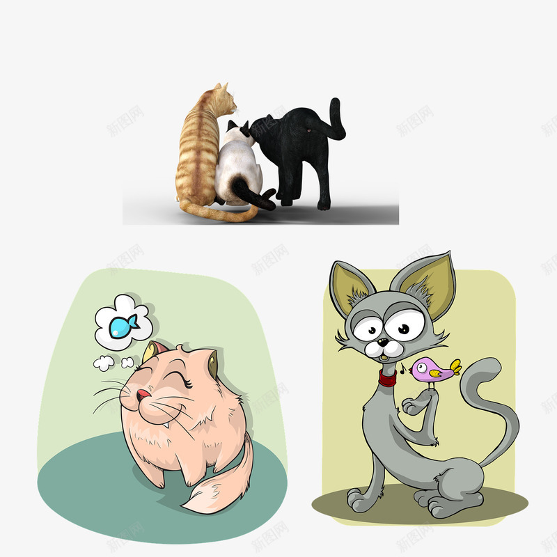 三种类型猫的休闲状态png免抠素材_新图网 https://ixintu.com 三种 休闲 状态 猫 类型