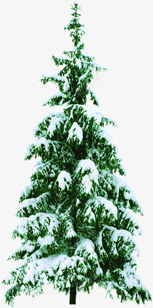冬日圣诞树雪天装饰png免抠素材_新图网 https://ixintu.com 冬日 圣诞树 装饰 雪天