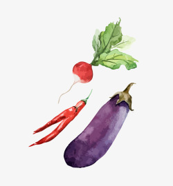 彩色手绘蔬菜茄子辣椒萝卜素材