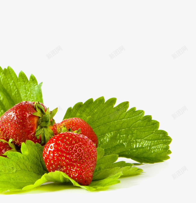 带叶子的草莓png免抠素材_新图网 https://ixintu.com 水果 草莓 营养 青菜