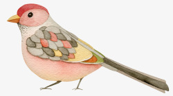 国画树木插画粉色鸟高清图片