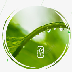 谷雨海报设计绿色谷雨水滴海报高清图片
