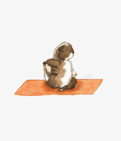 小豚鼠做瑜伽插画素材