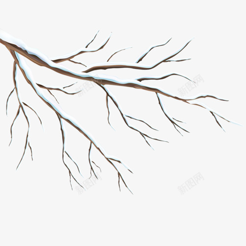 冬天干树枝的简笔画图片