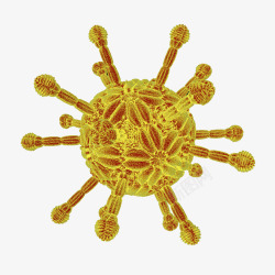 艾滋病毒颗粒立体插画病毒颗粒立体插画高清图片