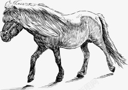 速写昂起的马头手绘速写小跑的马元素矢量图图标高清图片