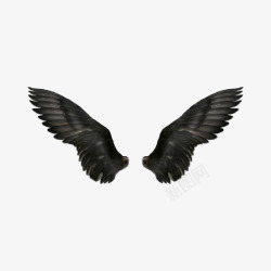 黑色的鹰翅膀高清图片