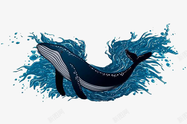 手绘海浪鲸鱼png免抠素材_新图网 https://ixintu.com 动物 卡通鲸鱼 手绘 手绘鲸 海洋 海洋生物 蓝色海浪 鲸鱼