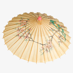 花枝雨伞白色花卉油纸伞高清图片