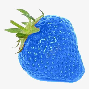 蓝色草莓png免抠素材_新图网 https://ixintu.com 草莓 蓝色