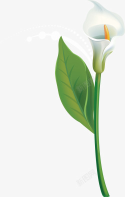 百合花束手绘白色百合花手绘白百合花矢量图高清图片