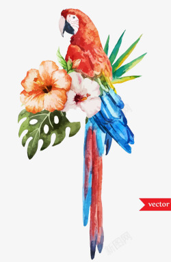 水彩鹦鹉鲜花插画素材