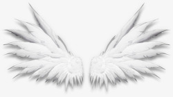 kt板创意白色的翅膀造型高清图片