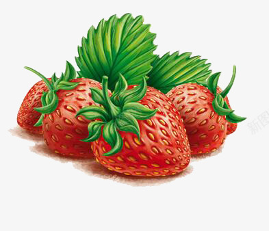 水彩水果草莓png免抠素材_新图网 https://ixintu.com 水彩 水果 草莓