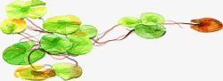 绿荷叶手绘绿荷叶夏季装饰高清图片