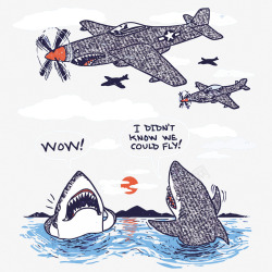 卡通飞机和鲨鱼矢量图素材