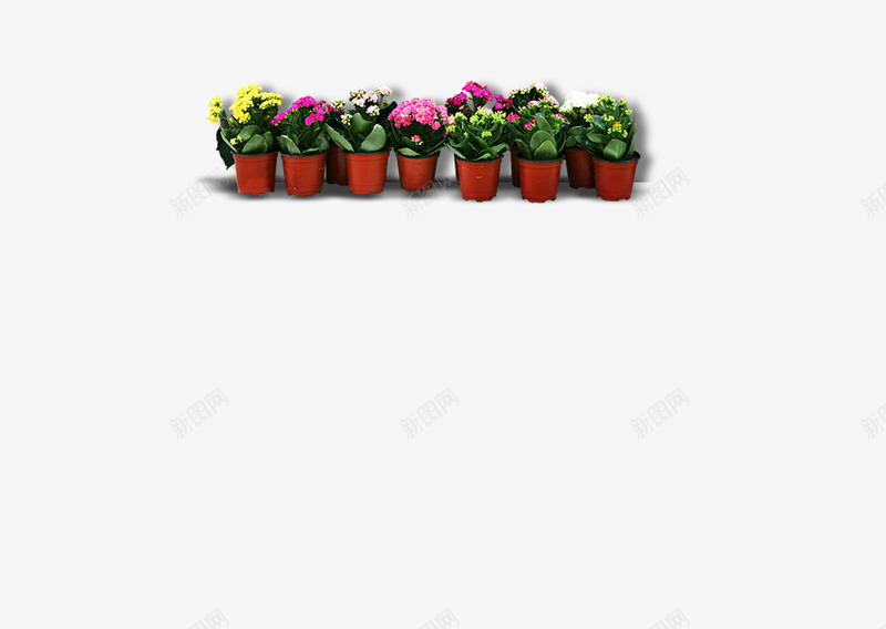 小植物办公室盆栽花园png图片免费下载 素材0yvjjukvp 新图网