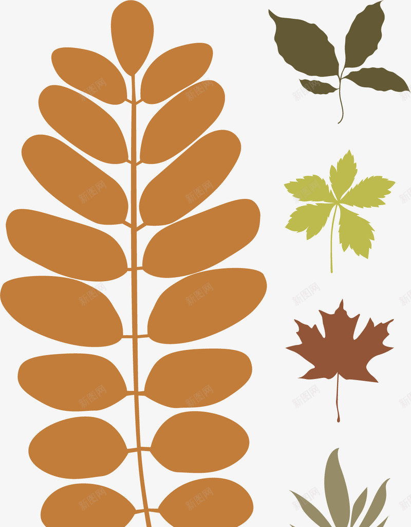 褐色树叶png免抠素材_新图网 https://ixintu.com 一地树叶 一堆树叶 树叶堆积 树叶散落 树叶飘落 褐色