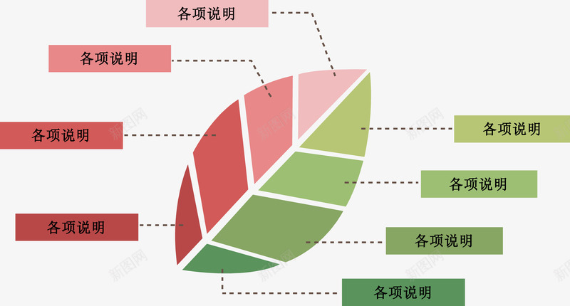 植物叶片说明图矢量图ai免抠素材_新图网 https://ixintu.com 信息表 流程图 结构组合 矢量图