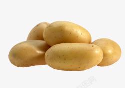 小土豆一堆土豆高清图片