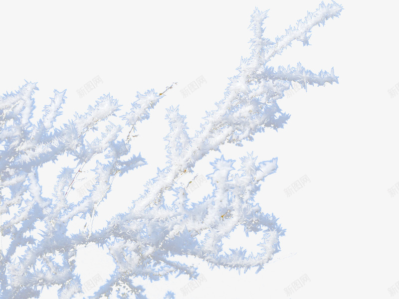 积雪的树枝png免抠素材_新图网 https://ixintu.com 冬日素材 树枝 白色 积雪 雪