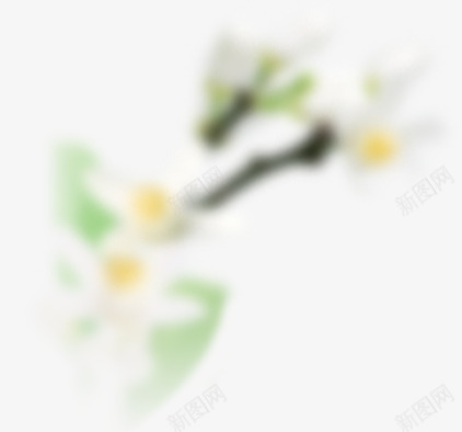 白色花朵模糊花朵png免抠素材_新图网 https://ixintu.com 模糊 白色 花朵