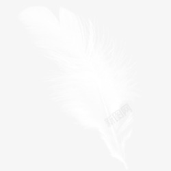 羽毛图形白色弯曲的羽毛高清图片