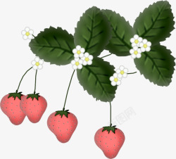 草莓小花绿叶素材