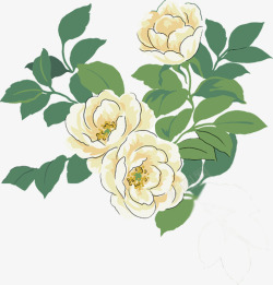 手绘白色花卉生日卡片素材