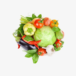 蔬菜和水果集合素材